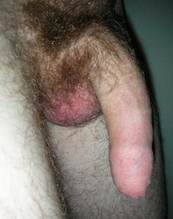Grosse queue gay belles couilles poilues Belle teub plan cul en france